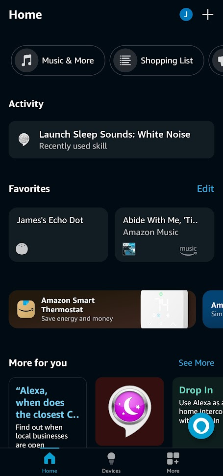 The alexa app