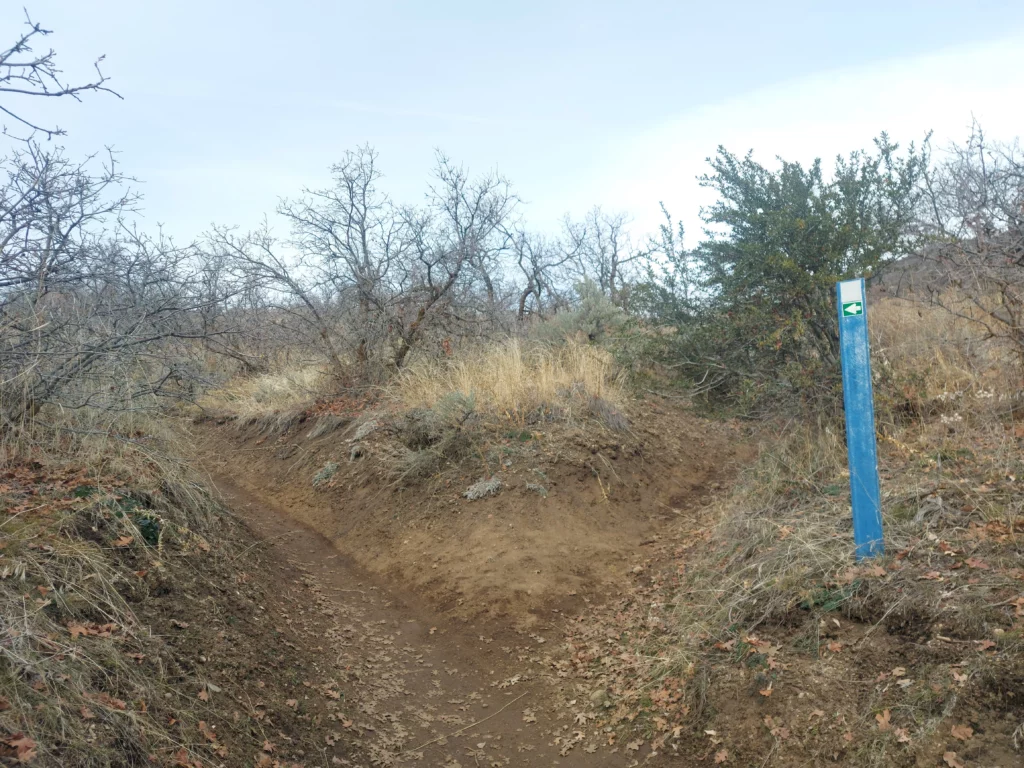 The fork in the path towards Holmes' cabin