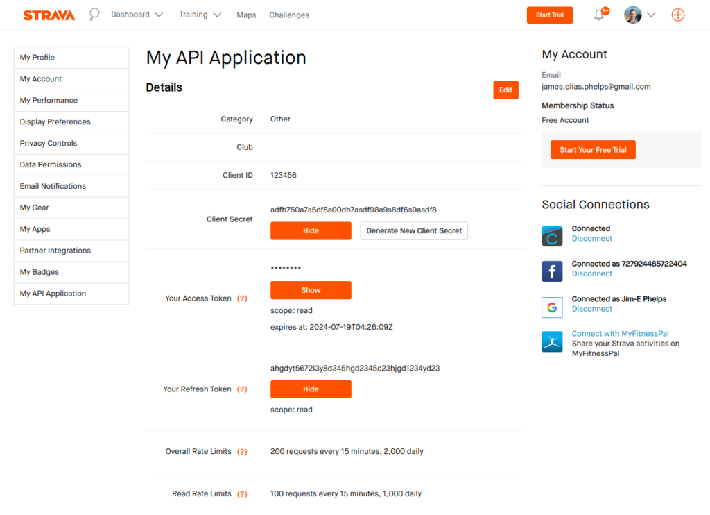 Strava Api Application Page