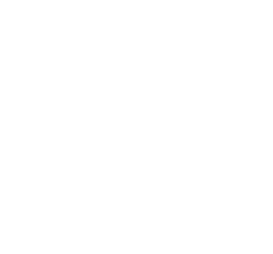 James Phelps logo